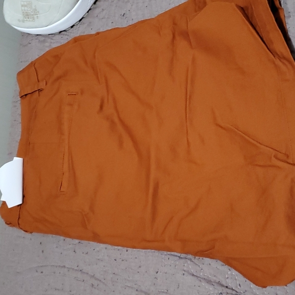 Burnt orange Chino shorts - Picture 4 of 5